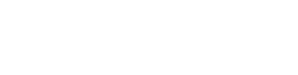 Fortuna Eco