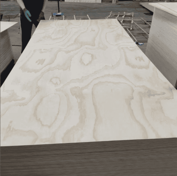 Commercial Plywood - Image 5