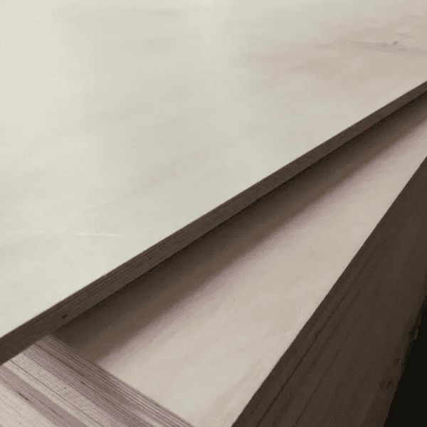 Birch Plywood - Image 2
