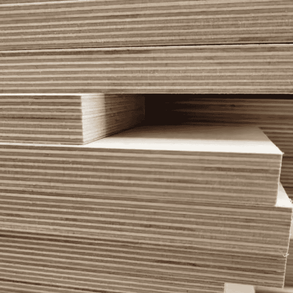 Birch Plywood - Image 3