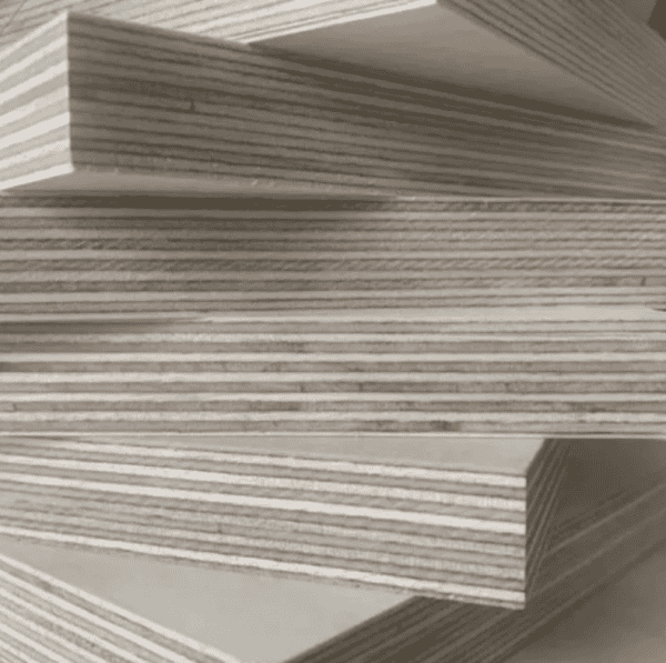 Birch Plywood - Image 4