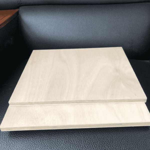 Rose-Eucalyptus Plywood - Image 4