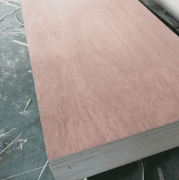 Bintangor Plywood - Image 8