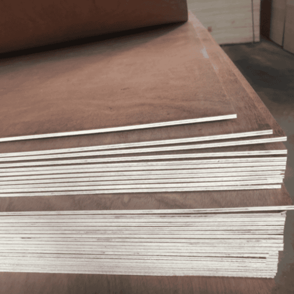 Bintangor Plywood - Image 7